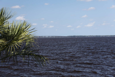 在佛罗里达州杰克逊维尔圣约翰河上的亨利荷兰巴克曼桥的看法