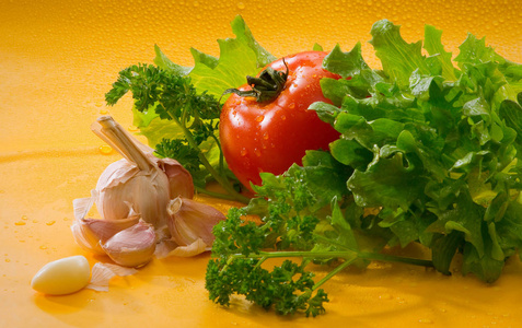 蔬菜西红柿, 大蒜, 绿色沙拉与水滴在黄色背景
