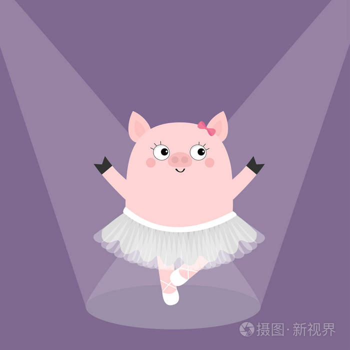 猪母猪 眼睛带着睫毛.2019年新的一年的中国象征.星座.