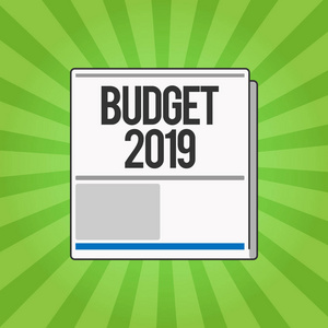 撰写书面文本2019年预算。概念指年收入和支出的新年估计财务计划