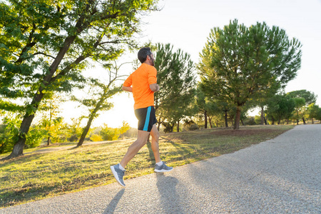 在绿色公园跑步和健身健康的生活方式概念中锻炼健康的年轻动态运动员跑步者的背景图, 在美丽的夏季日落中进行适合强壮的身体训练