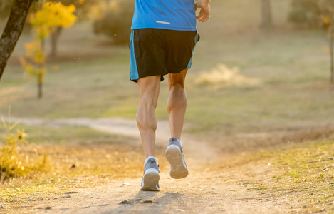 在秋天的日落时, 在乡村慢跑训练中, 在健身和健康的生活方式概念中, 运动和肌肉发达的腿被撕破的运动员的背部欣赏