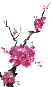 开花树的树枝。粉红色和红色的梅梅, 野生杏子和樱花的样式化的花朵。水彩和墨水插图在风格的墨e, u罪。东方传统绘画