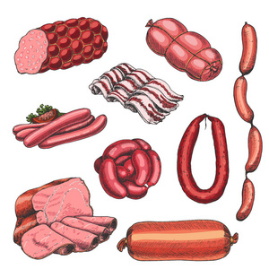 不同肉制品的矢量集合在素描样式。香肠, 火腿, 培根, 猪油用于您的设计的矢量插图