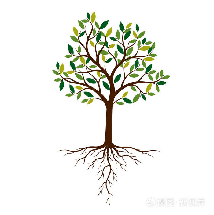 颜色树和根.矢量插图.厂房和花园