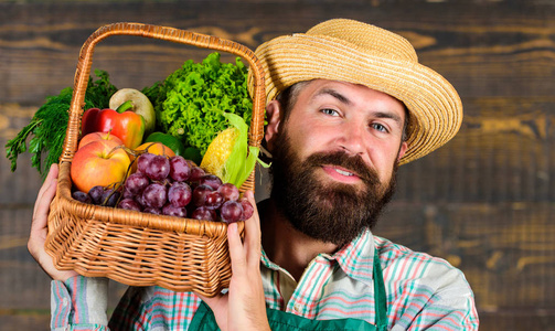 人胡子农夫展示生态蔬菜木的背景。柳条篮中新鲜的有机蔬菜。草帽提供新鲜蔬菜。篮子里有土生土长的蔬菜的