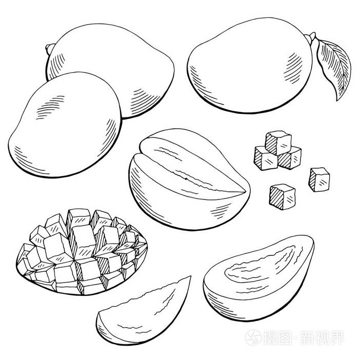芒果果实图形黑色白色孤立的素描图矢量插画-正版商用