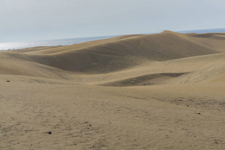 大加那利岛马斯帕洛马斯的地方的沙丘