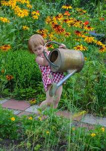 小女孩帮助给花浇水图片