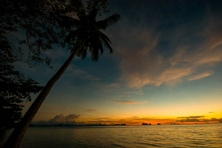 背景下, 海岛海滩上椰子棕榈树在海洋上的暮色天空云的剪影