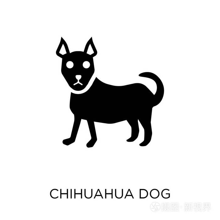奇瓦瓦狗符号设计来自狗收藏.简单的元素向量例证在白色背景