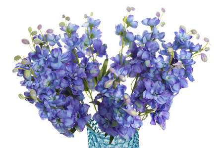 在白色背景查出的花瓶中的一束蓝香味豌豆