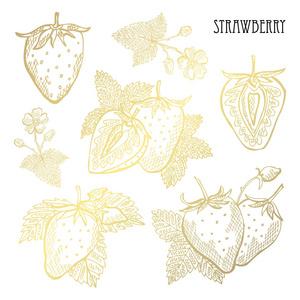 手拉金草莓, 整体和切片, 设计元素。可用于卡片请柬剪贴簿印刷布料制造食品主题。金黄水果