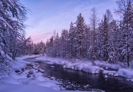 令人惊叹的冬季拉普兰景观与美丽的日落, 非冰冻的河流和白雪覆盖的森林。河岸上未触及的白雪。水上树枝上神奇的冰霜自然装饰