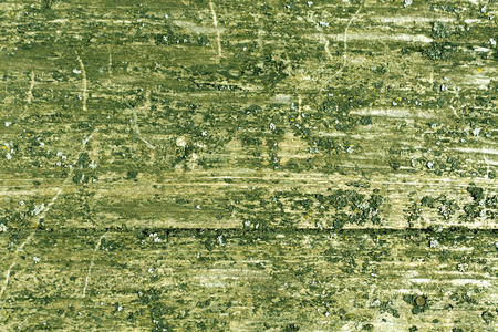 又脏又臭的木制板表面长满了苔藓