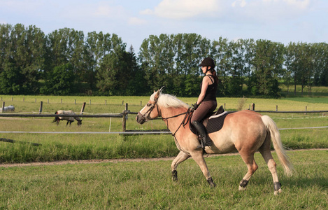 一名年轻女子骑着一匹马 Haflinger