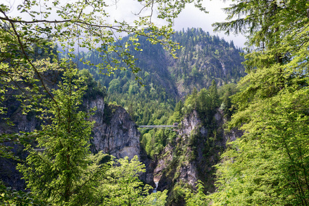 旅游脚桥围绕在巴伐利亚的阿尔卑斯山，德国新天鹅堡