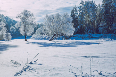 寒冷的冬天，在拉脱维亚