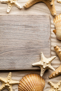 夏季背景木板和海滩上的贝壳