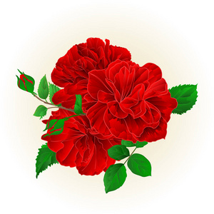 群三红玫瑰花蕾的老式手工绘制喜庆背景矢量