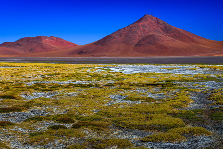 南美地区景观玻利维亚