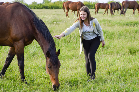 女孩正在抚摸那匹马。马在牧场上的女孩