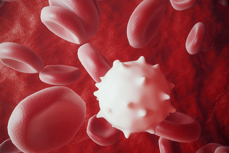 白血细胞之间红血细胞 流 insice 动脉或静脉，3d 渲染