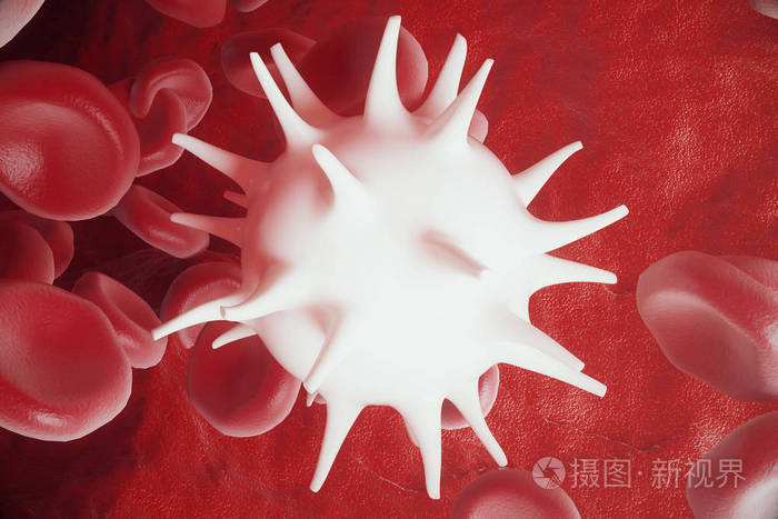 白血细胞之间红血细胞流insice动脉或静脉3d渲染