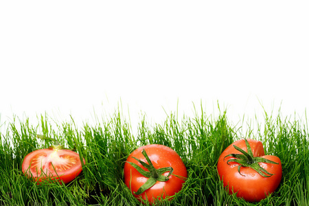 销售概念，新鲜蔬菜，西红柿在白色衬底上的绿色草地上