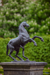 马雕像在花园里