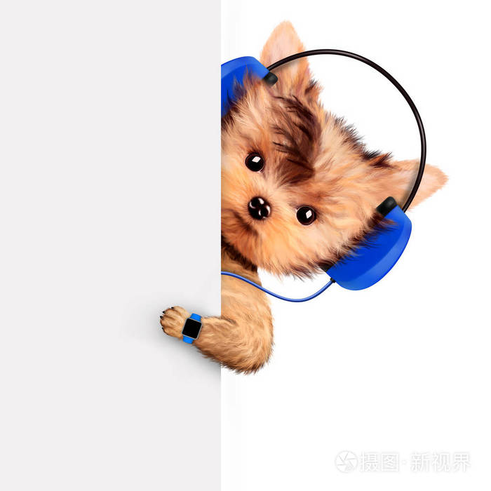 有趣的狗在耳机上听音乐