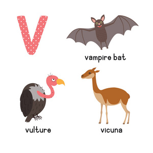 可爱的动物动物园字母表。字母 V 雕 马毛 吸血蝙蝠