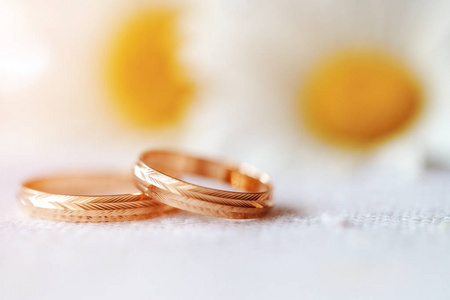 与野花雏菊的结婚戒指。这一概念的婚礼和婚姻性质的建议