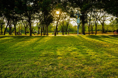 城市公园的绿色草地上的夕阳灯