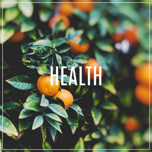 词的健康。枝具橙色树木的果实，