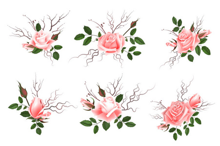 束粉红色的玫瑰，可以用作贺卡 婚礼邀请卡 生日和其他假期和春天，夏天背景。插图