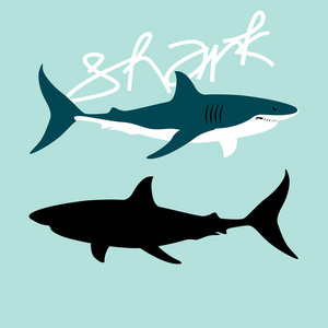 鲨鱼颜色矢量插图风格平面配置文件黑色