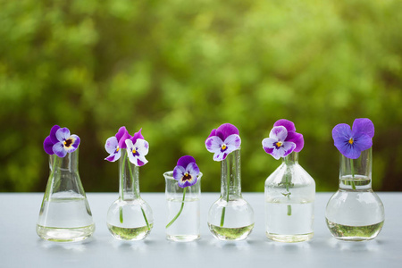 三色堇花化学玻璃器皿，餐桌装饰在花园中