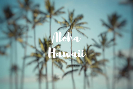 Aloha 夏威夷。美国夏威夷椰子棕榈