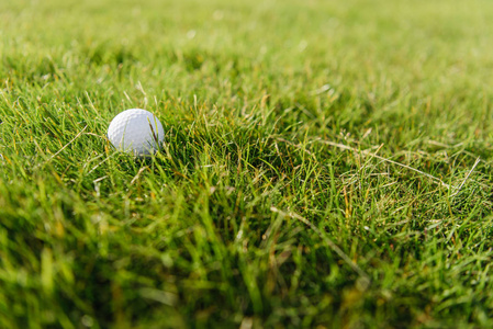 草地上的高尔夫球场球