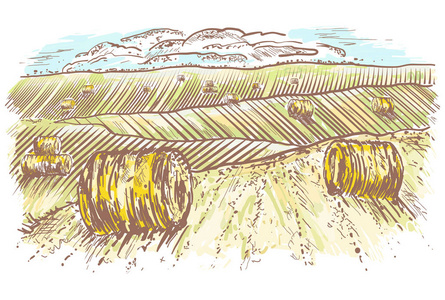 乡村景观手绘。在草地上的干草面包卷