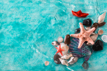 海星，贝壳在蓝色的水，夏天度假概念上的度假概念