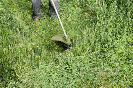 刈割利用钓鱼线微调的绿草。修剪机中的应用