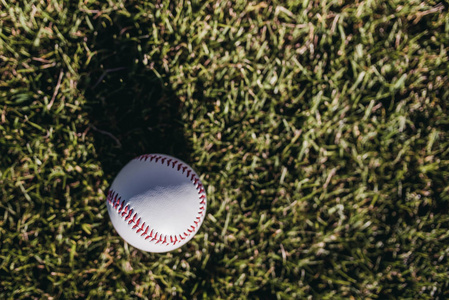 棒球球躺在绿色的草地上