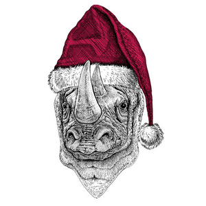 犀牛，犀牛圣诞节插图野生动物穿圣诞圣诞老人帽子红色冬天帽子假期图片快乐新的一年