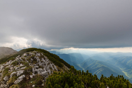 在夏天的薄雾云特兰西瓦尼亚阿尔卑斯山的自然风光