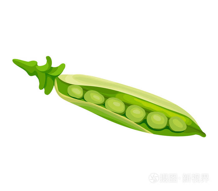 豌豆矢量图标,手的绿色蔬菜,模板的素描画