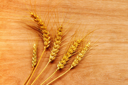小麦收获后的耳朵