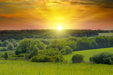 绿色的田野和明亮的日出