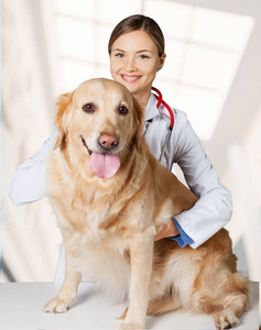 美丽年轻兽医与狗
